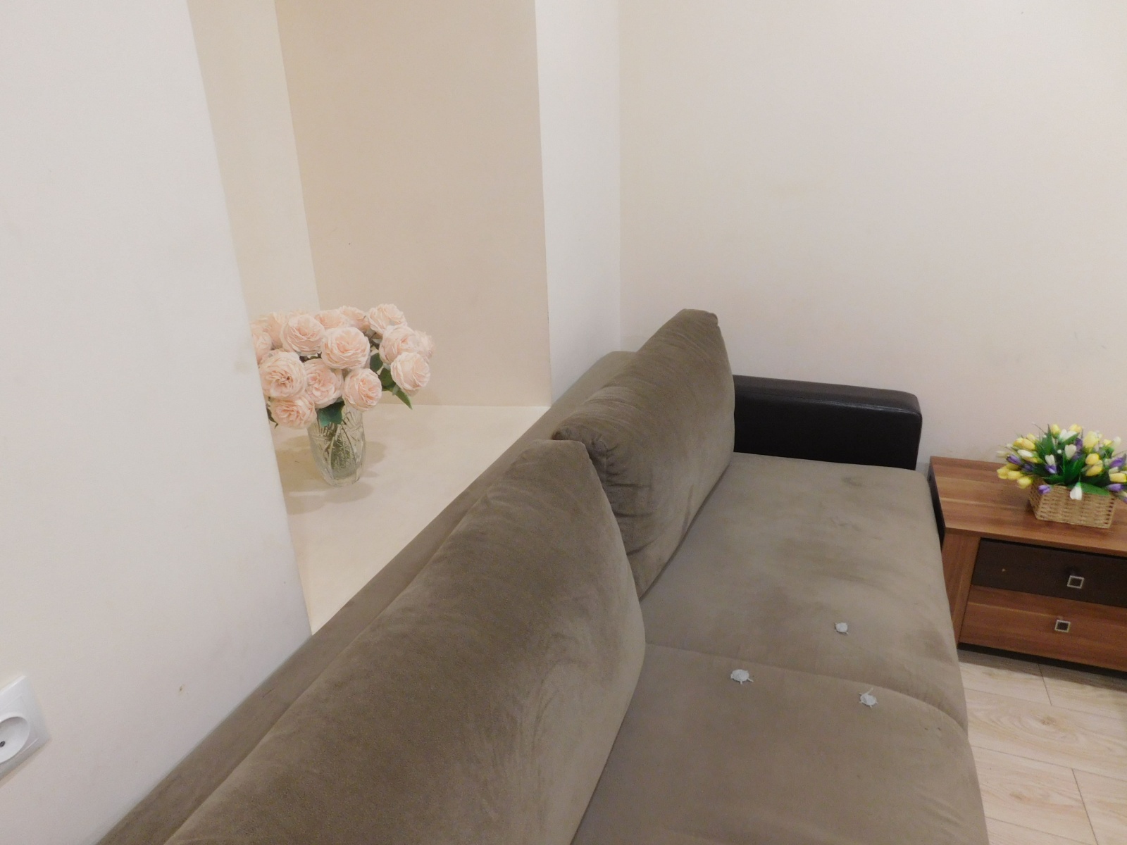 Центр Цветник Радон Кирова 7