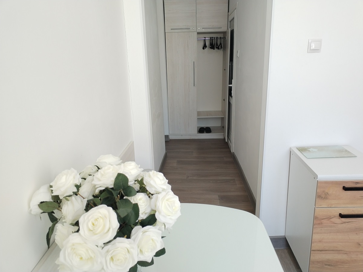 Центр Цветник Радон пр. Кирова  47а